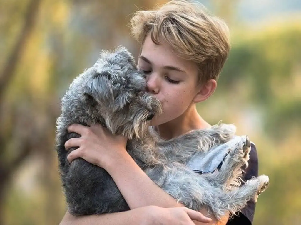 boy hugging dog